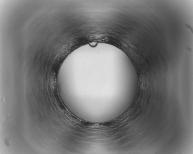 X0000103300515200808291133