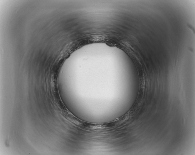 X0000103300516200808291133