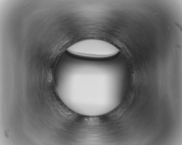X0000103300517200808291133