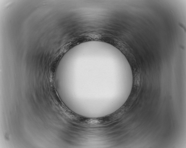 X0000103300518200808291133
