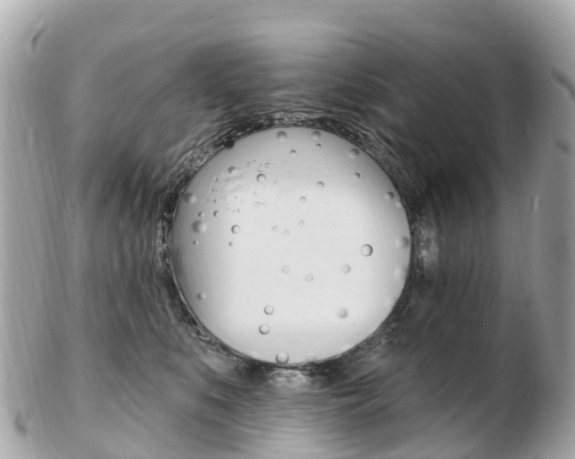 X0000103300519200808291133