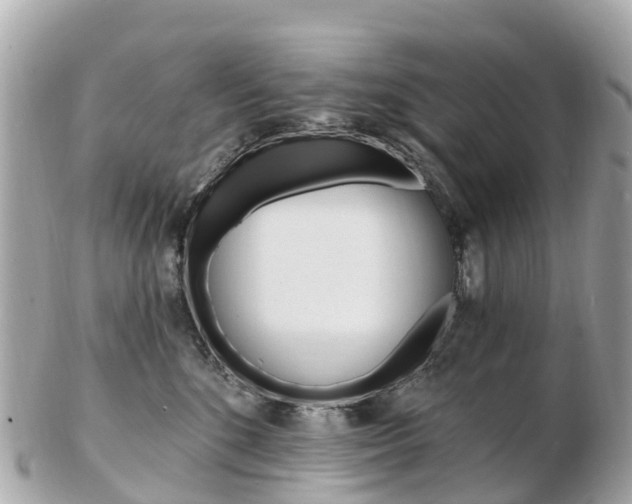 X0000103300520200808291133