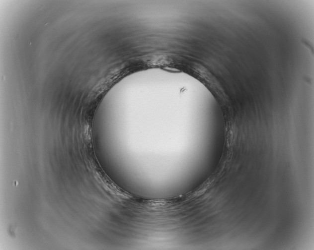 X0000103300521200808291133