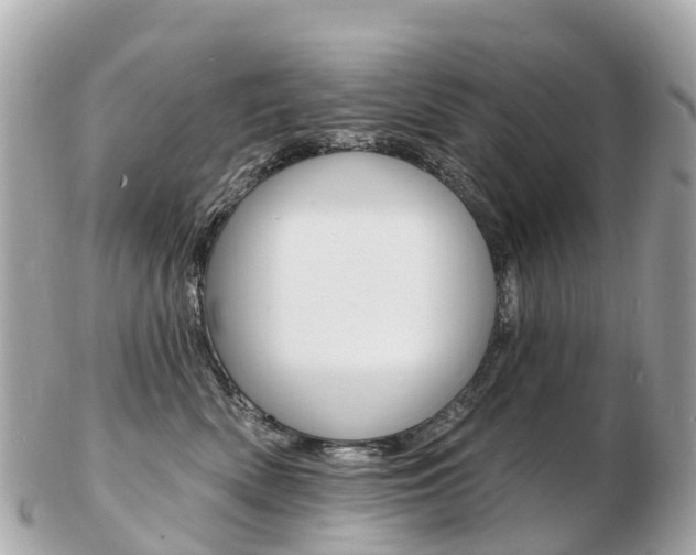 X0000103300522200808291133