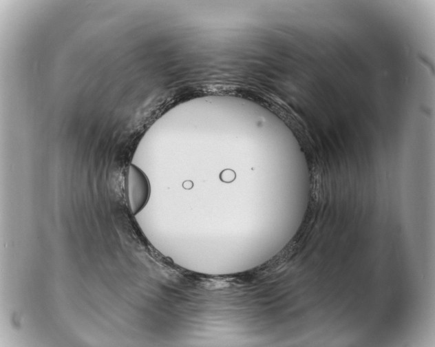 X0000103300523200808291133