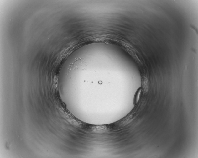 X0000103300525200808291133