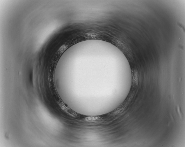 X0000103300526200808291133