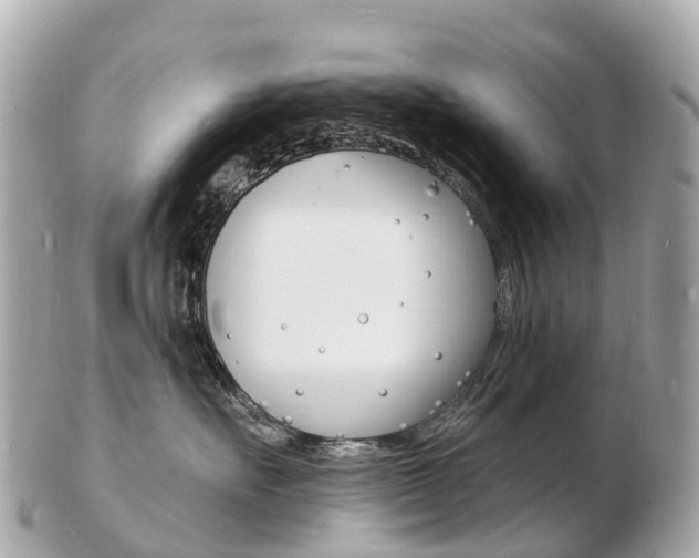X0000103300527200808291133