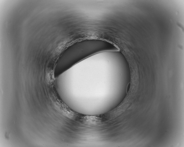 X0000103300528200808291133