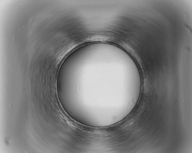 X0000103300529200808291132