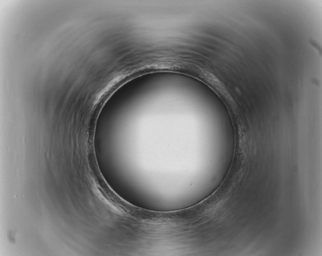 X0000103300530200808291132