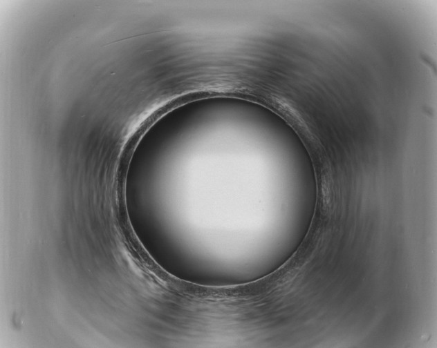 X0000103300532200808291133