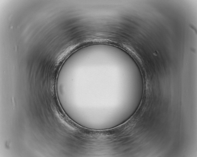 X0000103300533200808291133