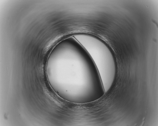 X0000103300535200808291133