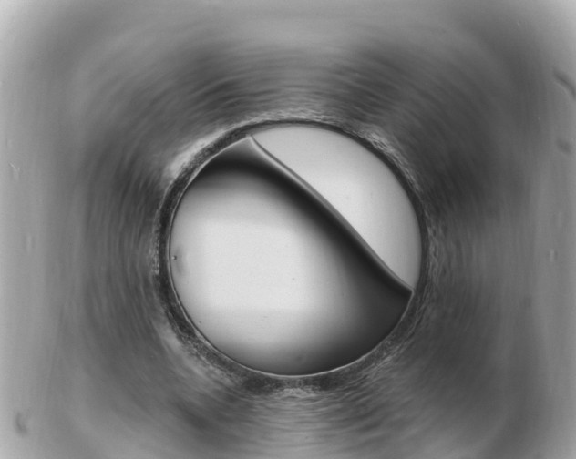 X0000103300536200808291133