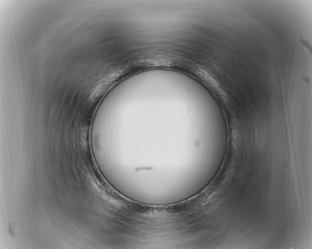 X0000103300537200808291133