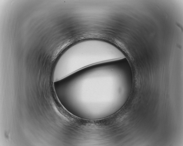 X0000103300538200808291133