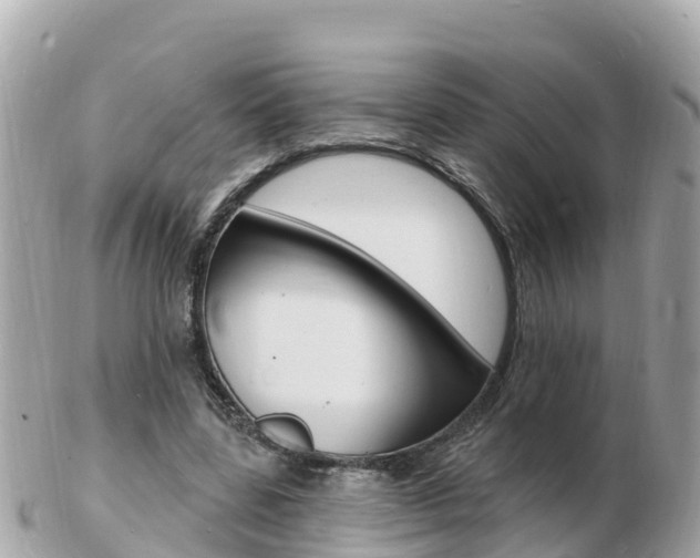 X0000103300539200808291133