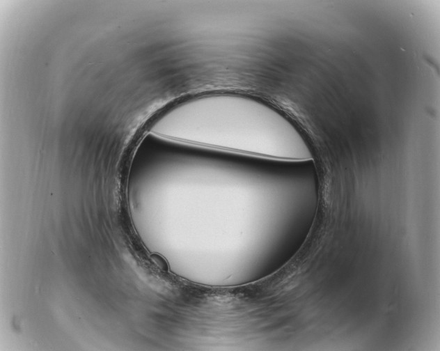 X0000103300540200808291133