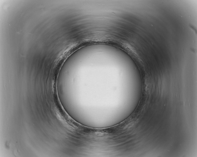 X0000103300542200808291133