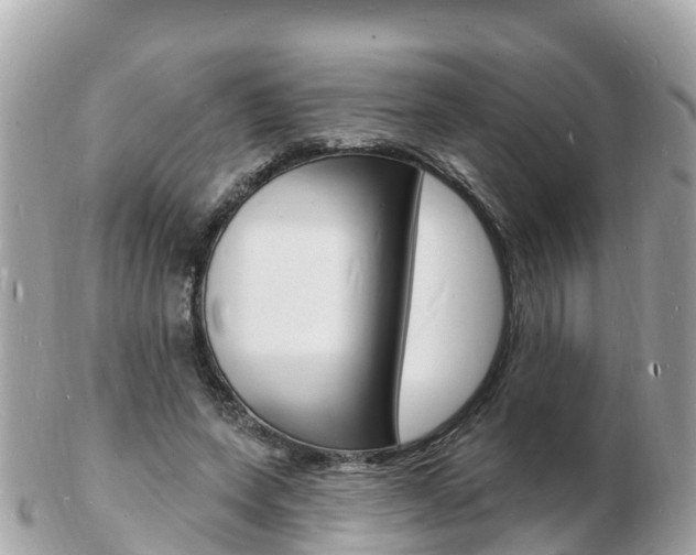 X0000103300543200808291133