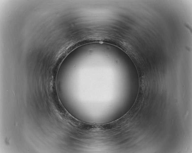 X0000103300544200808291133