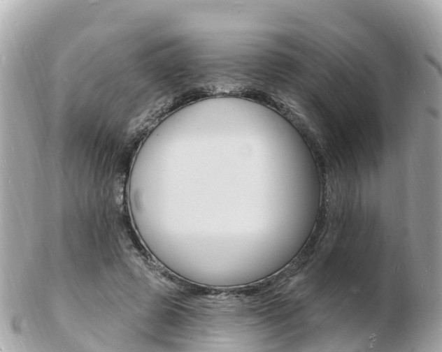 X0000103300545200808291133