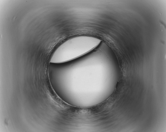 X0000103300546200808291133