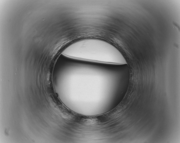 X0000103300548200808291133