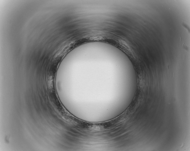 X0000103300549200808291133