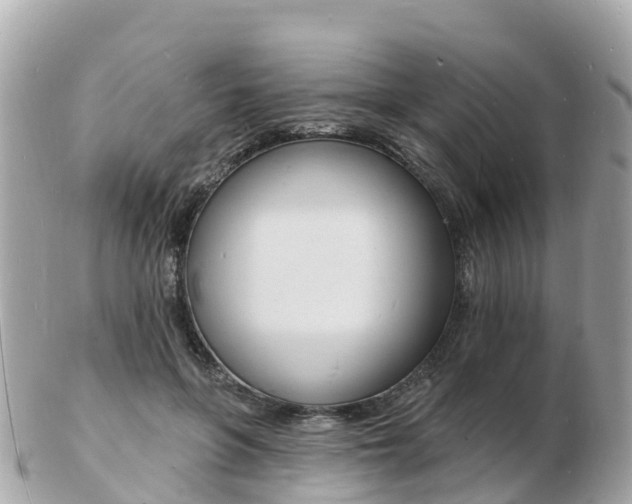 X0000103300551200808291133