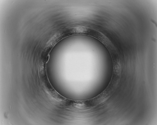 X0000103300552200808291133