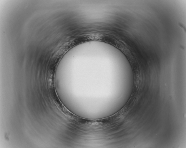 X0000103300553200808291133