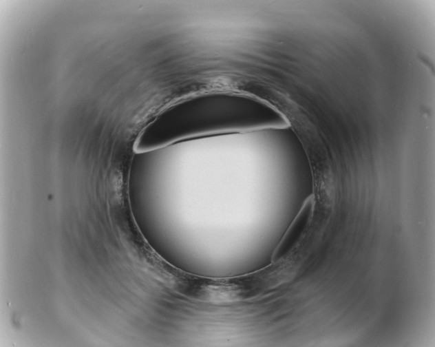 X0000103300556200808291133