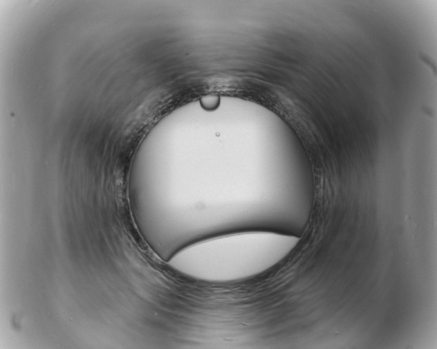 X0000103300557200808291133