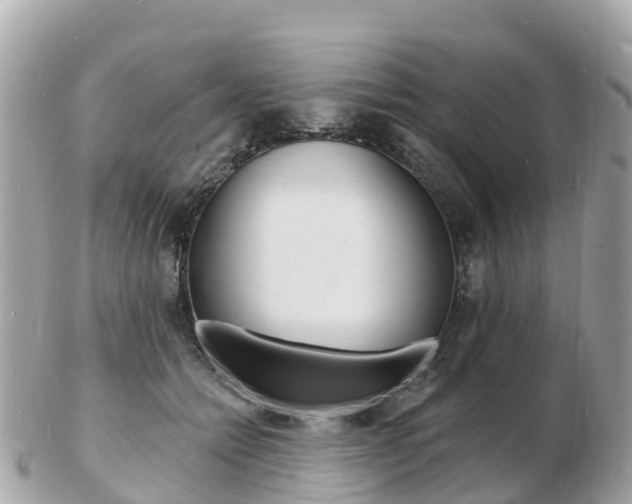 X0000103300558200808291133
