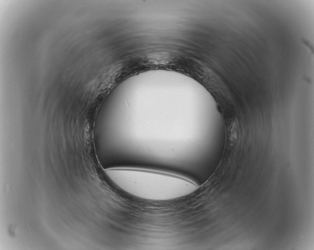 X0000103300559200808291133