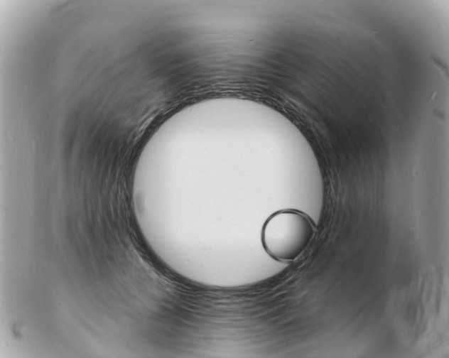 X0000103300560200808291133