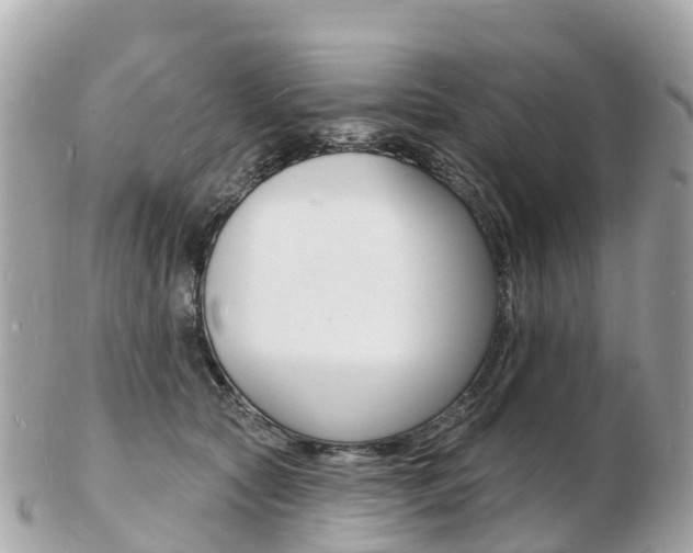 X0000103300561200808291133