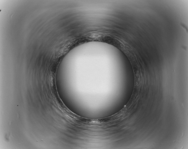 X0000103300562200808291133