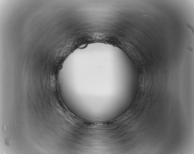 X0000103300563200808291133