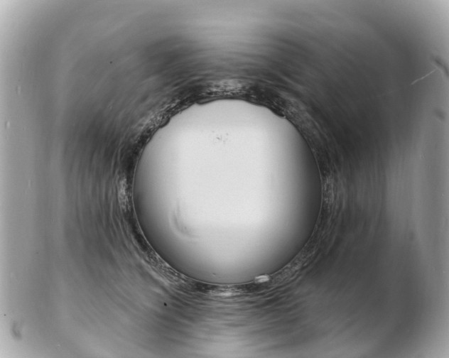 X0000103300564200808291133