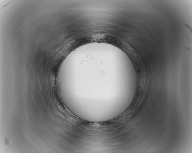 X0000103300565200808291133