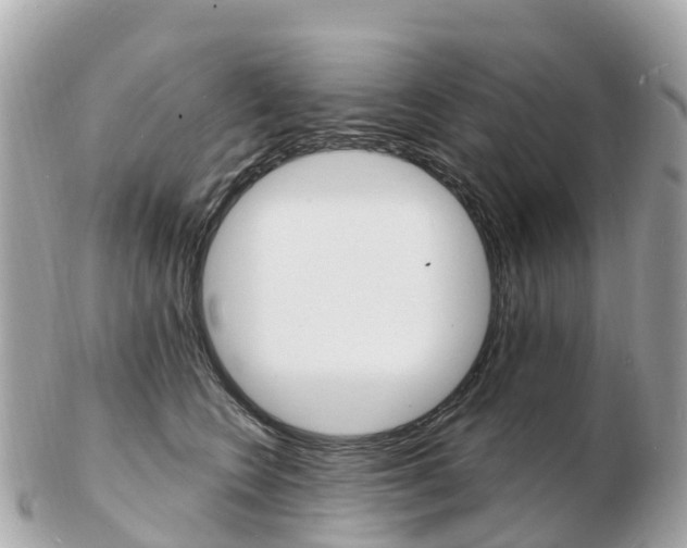X0000103300566200808291133