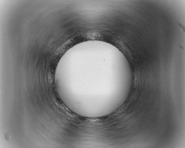 X0000103300569200808291133