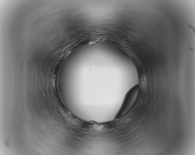 X0000103300570200808291133