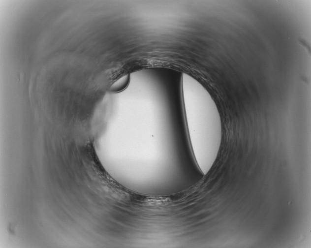 X0000103300571200808291133