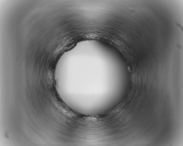 X0000103300572200808291133