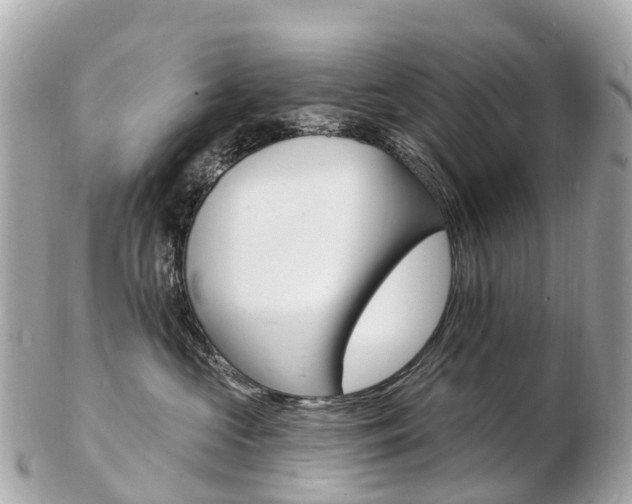 X0000103300573200808291133