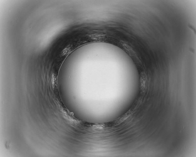 X0000103300574200808291133